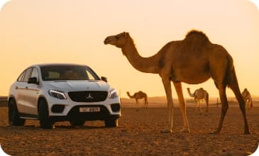 The Guide to Rent Economy Cars in Dubai